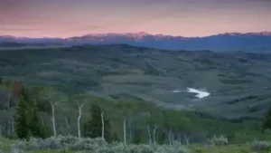 A Texas landowner bought a ranch in the 1990s and later added thousands of acres; today, more than