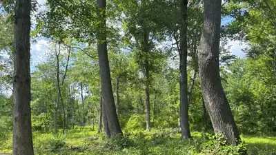 A Pennsylvania family protected a 30-acre farm beside 1,300 acres: The wider industry impact