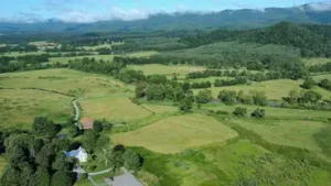 In 2005, Virginia bought 431 waterfront acres for a future state park; 21 years later