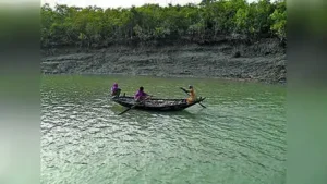 Threat to Sundarbans: Barclays confronts complaint in UK over link: The wider industry impact