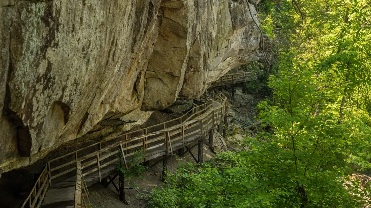A West Virginia family with roots around Audra stretching back 175 years donated 47 acres