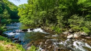 A West Virginia family with roots around Audra stretching back 175 years donated 47 acres