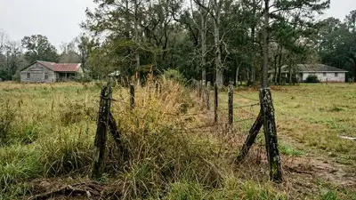 Louisiana neighbours fought over a 70-foot strip of land; after signs, bright lights and even