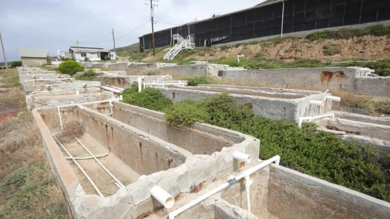 California has approved $5 million towards the purchase of 357 coastal acres in Cayucos that