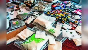 Kolkata: Bengal Police’s Special Task Force (STF) on Wednesday reported two drug seizures worth