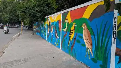 Chennai: From pictures of Indian blackbucks to herons, moorhens and coastal life, the city’s