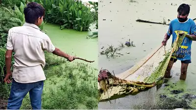 Fishing in a DDA park? Stagnant rainwater turns Kailash Vihar park into unlikely weekend spot