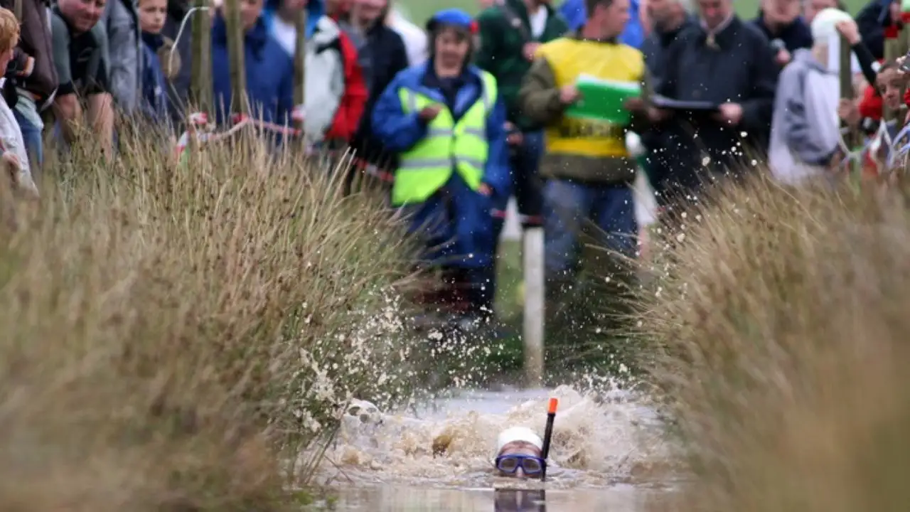 Why competitors race 120 yards through a mud-filled peat bog —: The wider industry impact