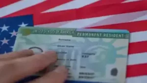 US official said they have suspended the Green Card filings: The wider industry impact