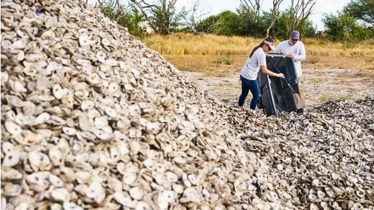 PC: Texas A&M University Corpus Christi In May 2022, the project: The wider industry impact