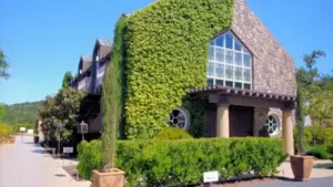 Napa family rebuilt its winery after the 2017 wildfire for over $30: The wider industry impact