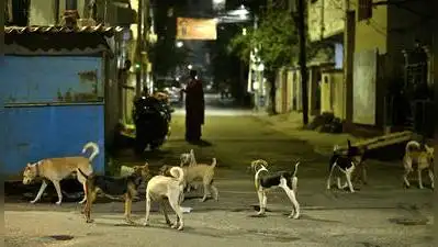 Opposition boycotts Angamaly municipal council meeting over stray dog menace