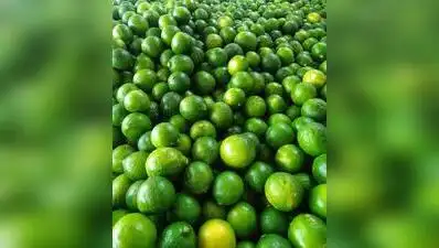 Drought squeezes kitchens in Karnataka as lemon prices soar fourfold: The wider industry impact