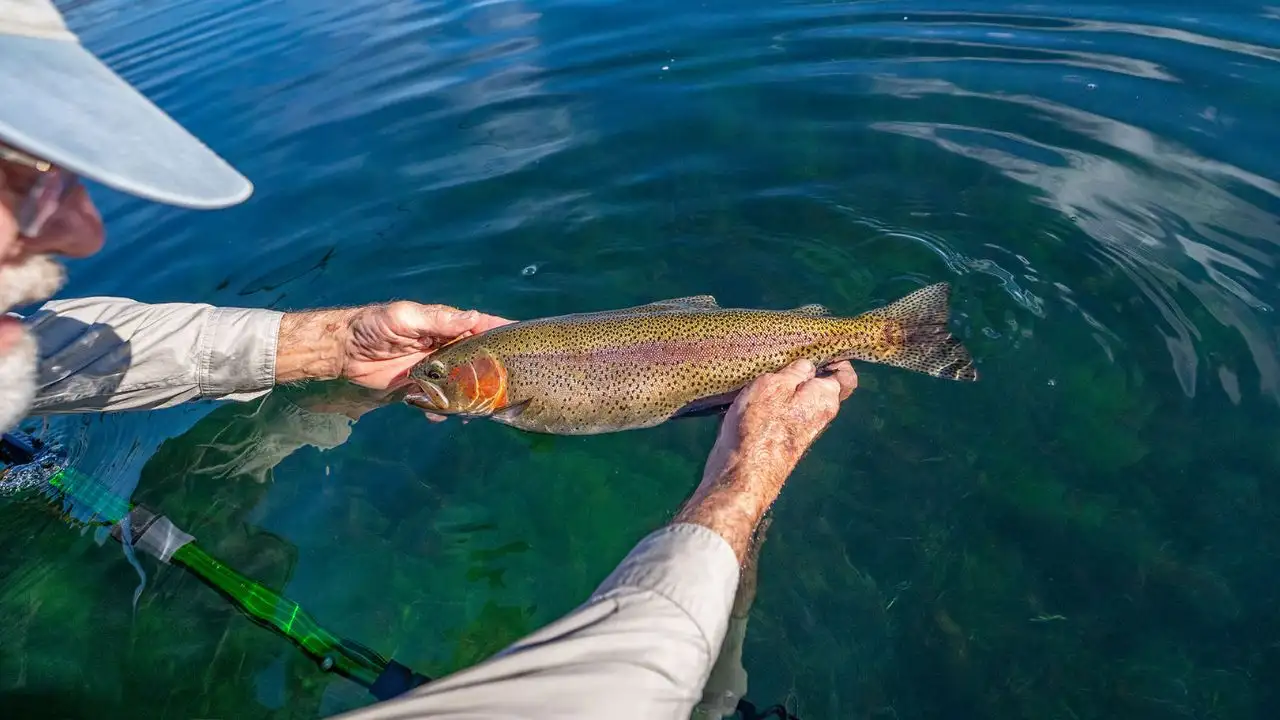 A former eBay CEO bought a 1,530-acre California fishing ranch: The wider industry impact