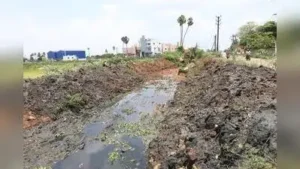 M Gandhi, president of Pallavaram resident welfare association: The wider industry impact