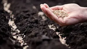 In 2022, engineer left his robotics job to pursue organic farming and travelled 60,000 km across