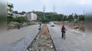 40-year-old forest will be split for Panathur CDP Road in Bengaluru: The wider industry impact