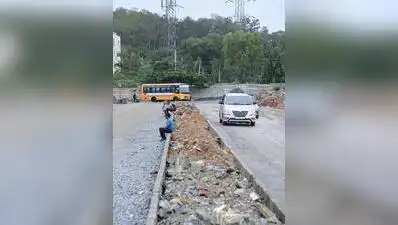 40-year-old forest will be split for Panathur CDP Road in Bengaluru: The wider industry impact