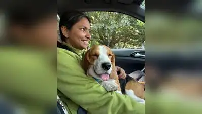 People for Animals (PfA), Bengaluru, has been working to rescue: The wider industry impact