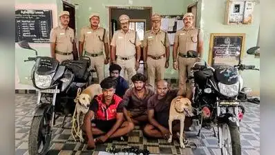 Salem : Four men were arrested by Mettur forest officials for attempting to hunt rabbits