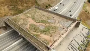 Now, two new crossings are being planned in California’s Mojave: The wider industry impact