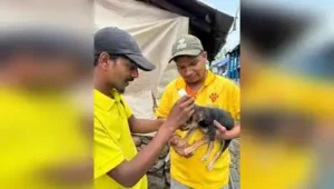 Karnataka to launch free anti-rabies vaccination for 11 lakh pets: The wider industry impact