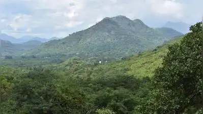 Megamalai villagers seek pattas and SC relief as eviction protest continues