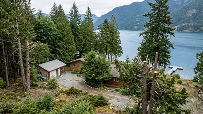 In 2021, a British Columbia woman allowed limited tree trimming: The wider industry impact