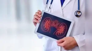 IIT-M, CMC develop AI tools to catch kidney disease early: The wider industry impact