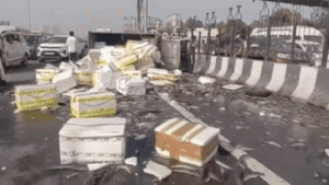 Watch: Truck carrying fish overturns, spills load across Delhi-Meerut Expressway; car crashes