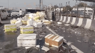 Watch: Truck carrying fish overturns, spills load across Delhi-Meerut Expressway; car crashes
