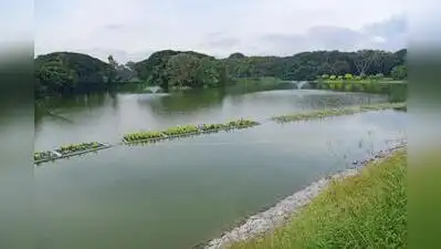 Lakes, forests, Lalbagh and defence land in Greater Bengaluru: The wider industry impact