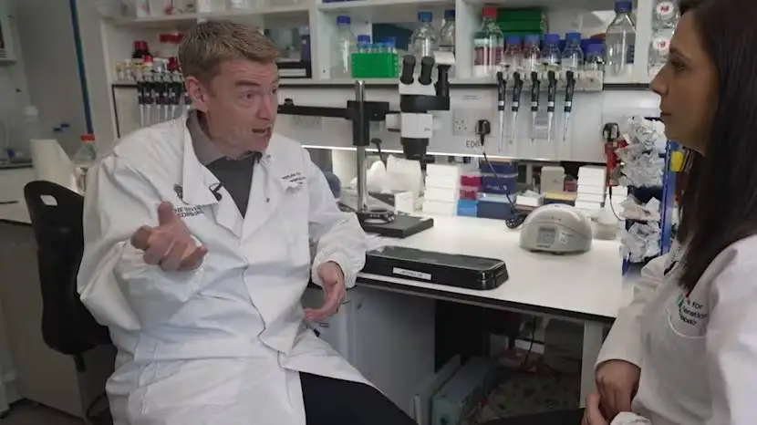 Doctors in Edinburgh have performed the UK’s first testicular tissue: The wider industry impact