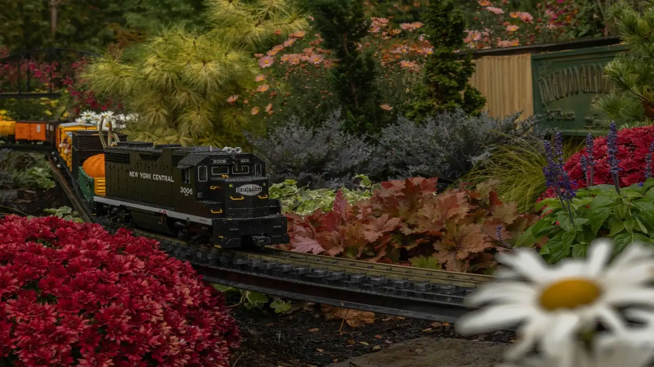 Over the years, the backyard project has become a beacon: The wider industry impact