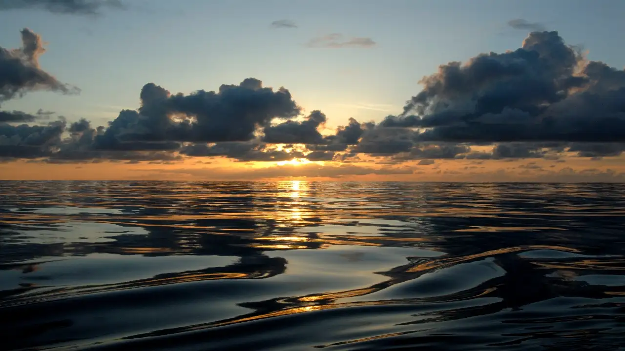 In 2016, Barack Obama expanded that Hawaiian ocean refuge by 442,781 square miles, creating