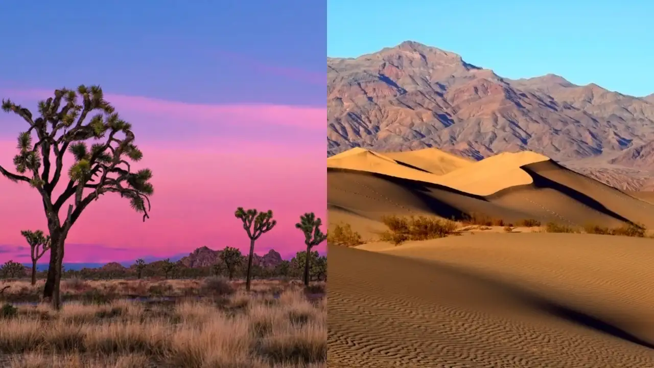 That battle ultimately succeeded when President Bill Clinton signed the California Desert