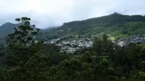 Kerala HC proposes task force to implement recommendations in reports — Munnar land disputes