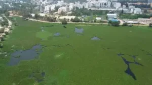 Ecology, flood control top residents' priorities in blueprint for Bengaluru's lake upkeep
