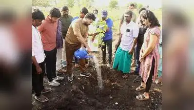 A total of 700 saplings of 25 native species were planted using: The wider industry impact