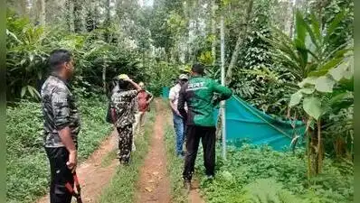 Forest officers remove illegal fencing along the elephant corridor at Chinnakanal
