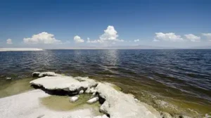 California reached a restoration milestone in 2025 when water began: The wider industry impact