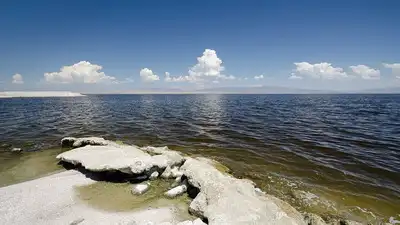 California reached a restoration milestone in 2025 when water began: The wider industry impact