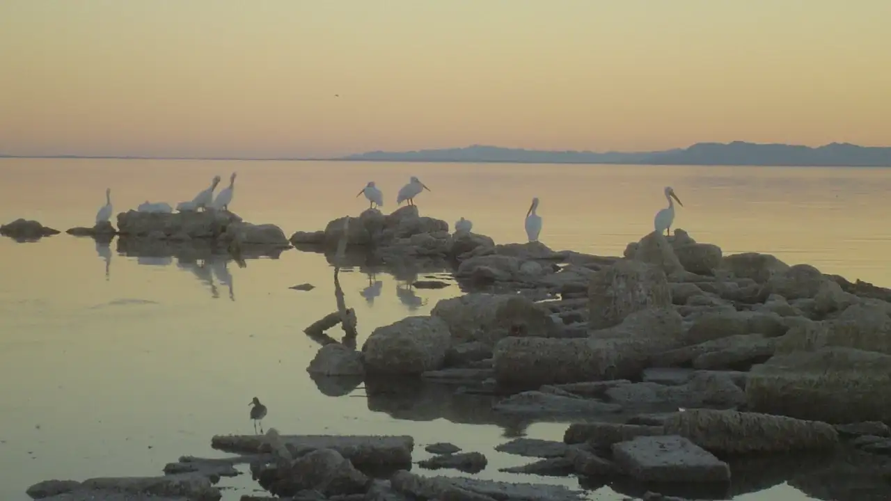 California reached a restoration milestone in 2025 when water began: The wider industry impact