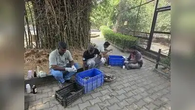 Chennai: Seven waterbirds at the Vedanthangal enclosure of Vandalur Zoo died of H5N1 avian