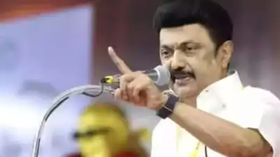 “The DMK president’s memorandum was sent by e-mail as an appointment from the President was not