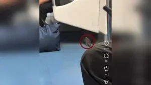 Rat seen in a Namma Metro train in Bengaluru