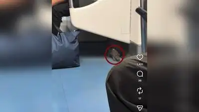 Rat seen in a Namma Metro train in Bengaluru