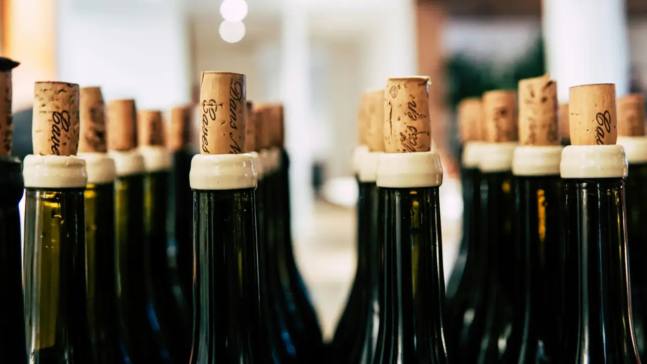 A hidden air-raid shelter behind a garden hedge held decades-old wine worth £3.56 million, and 11