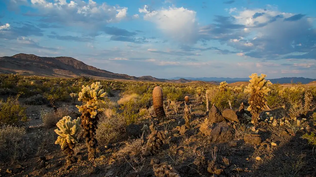 Johnson signed the Wilderness Act to protect America's wild landscapes
