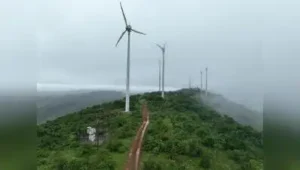 Karnataka wildlife board rejects 4 quarry proposals near Kappatagudda